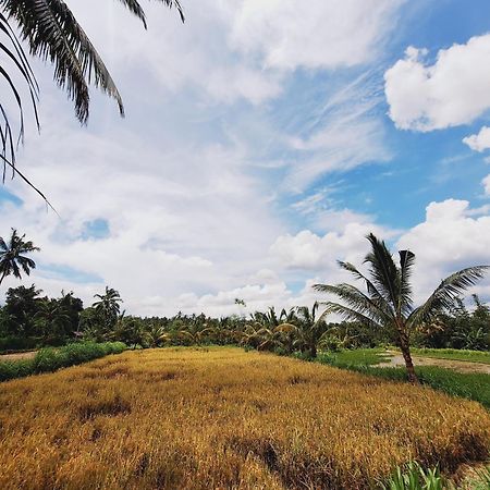 Bunga Maliq Bungalow Lombok Tetebatu Zewnętrze zdjęcie