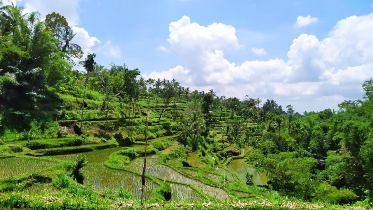 Bunga Maliq Bungalow Lombok Tetebatu Zewnętrze zdjęcie