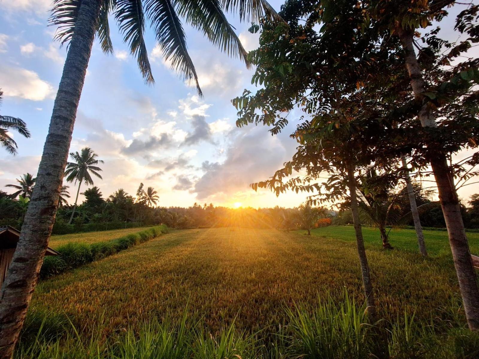 Bunga Maliq Bungalow Lombok Tetebatu Zewnętrze zdjęcie