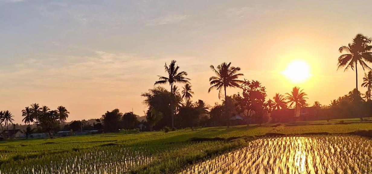 Bunga Maliq Bungalow Lombok Tetebatu Zewnętrze zdjęcie