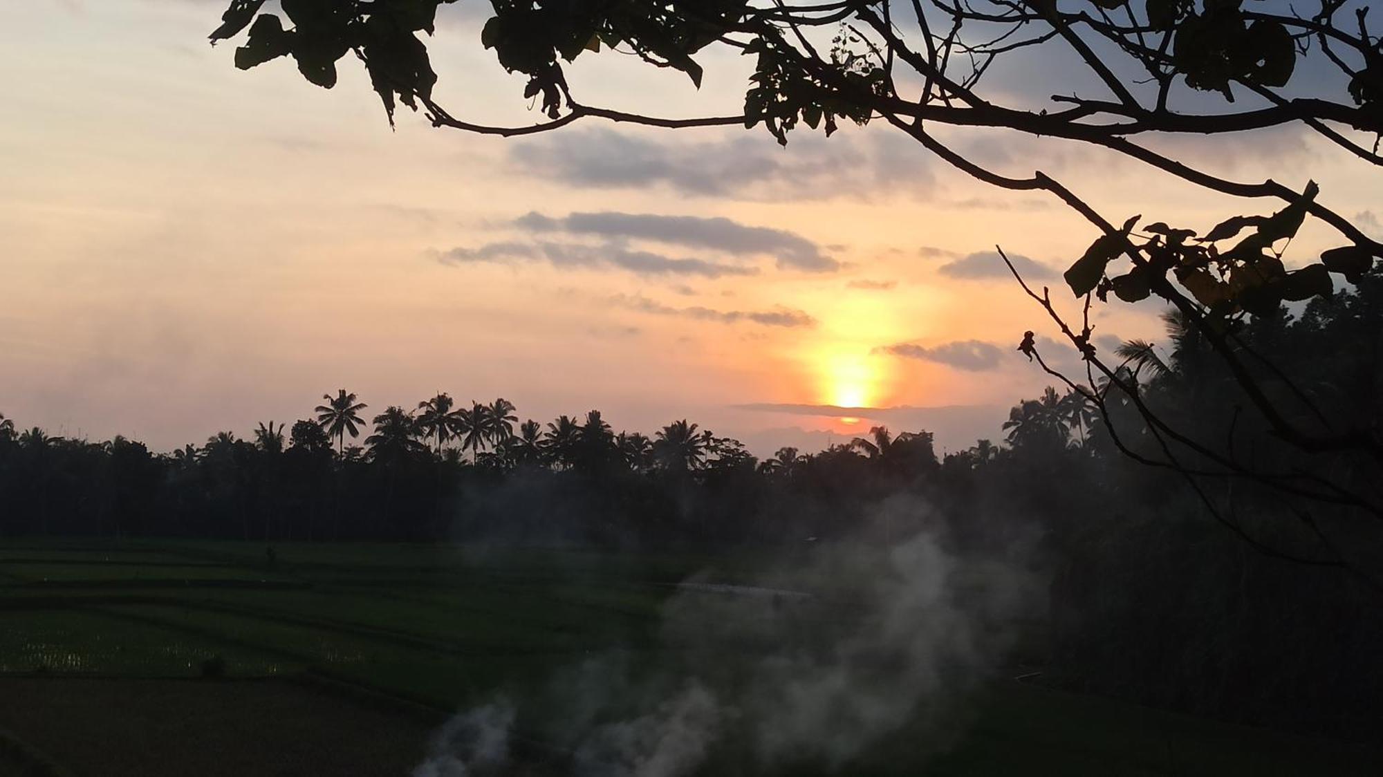 Bunga Maliq Bungalow Lombok Tetebatu Zewnętrze zdjęcie