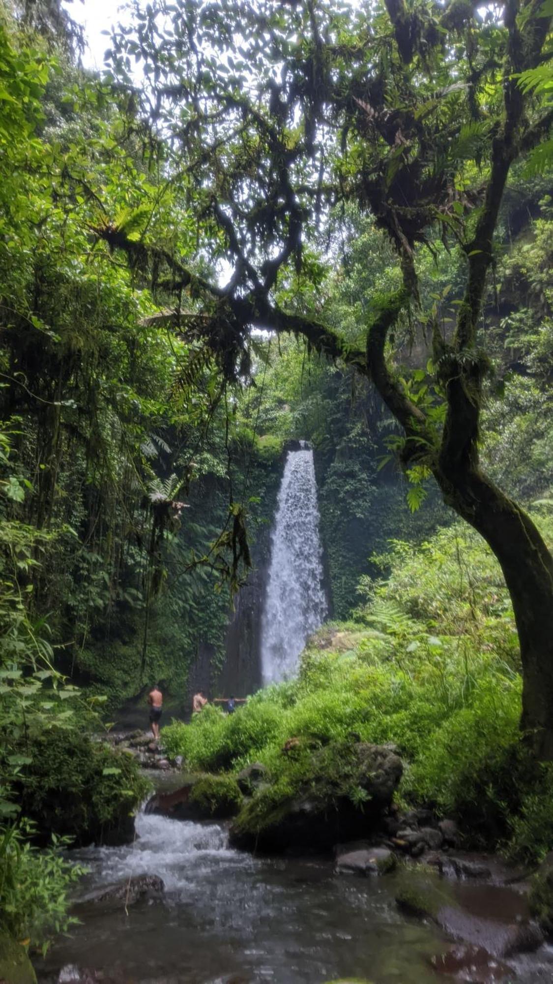 Bunga Maliq Bungalow Lombok Tetebatu Zewnętrze zdjęcie