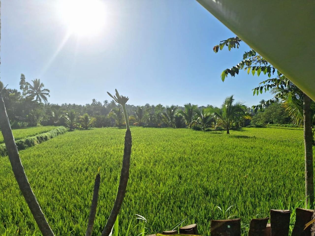 Bunga Maliq Bungalow Lombok Tetebatu Pokój zdjęcie
