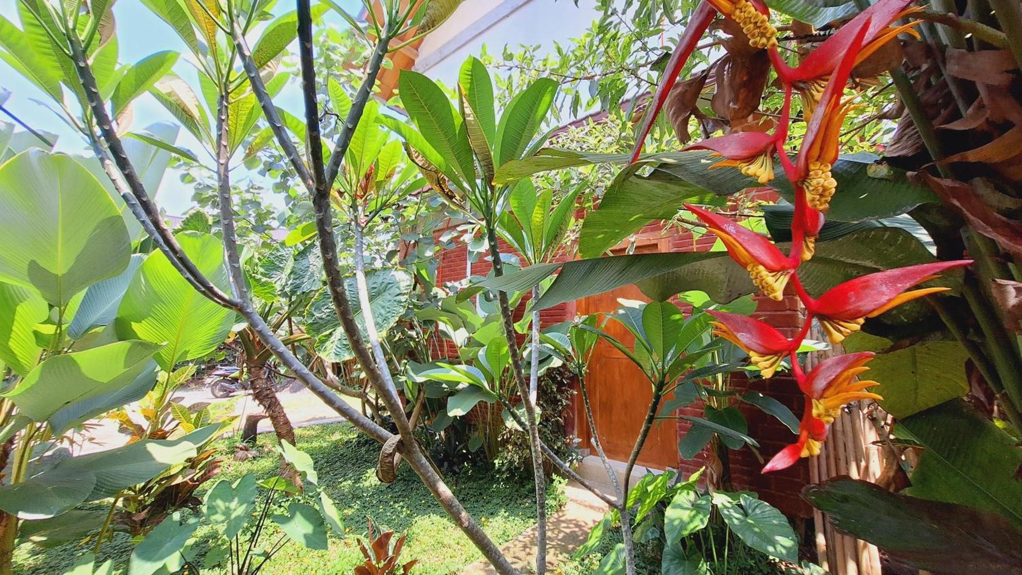 Bunga Maliq Bungalow Lombok Tetebatu Pokój zdjęcie